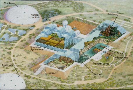 Biosphere II Cutaway Sketch